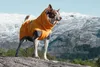 Hurtta Expedition Parka Wintermantel orange 45 Produktbild-Vorschau 9