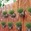 BELLE VOUS 6 STK Künstliche Pflanzen Gras Kunstpflanze – Produktbild-Vorschau 14