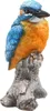 Vogel Eisvogel auf Rüssel l7b7h11.5cm SID Produktbild-Vorschau 5