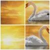 Bild auf Leinwand - Leinwandbild - Schwan Wasser Paar - Produktbild-Vorschau 8