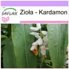 SAFLAX - Zioła - Kardamon - 20 Nasiona - Elettaria Podgląd zdjęcia produktu 9