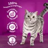 Whiskas Adult 1+ Trockenfutter mit Thunfisch im Karton, Produktbild-Vorschau 3