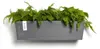Ecopots Manhattan Wall 55 Vaso da fiori - L 55 cm x H 15,3 Anteprima dell’immagine prodotto 10