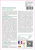 SAFLAX  - Menthe mexicaine nana - 500 graines - Avec Voir les images du produit 3
