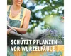 Holzhackschnitzel COMPO  Holzschnitzel 16 L als 1.Schicht Produktbild-Vorschau 3