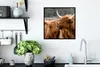 MuchoWow® Gerahmtes Poster Schottischer Highlander - Kuh - Produktbild-Vorschau 3