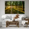 Bild auf Leinwand - Leinwandbild - Wald grün Sonnenstrahlen Produktbild-Vorschau 6