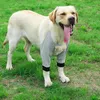 Protezioni per gomiti per cani, traspiranti, regolabili, Anteprima dell’immagine prodotto 4