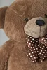Close-up of a brown teddy bear's face with a polka dot bow tie. Voir les images du produit