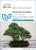 SAFLAX  - Genévrier de Chine - 30 graines - Juniperus Voir les images du produit 1