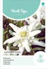 Edelweiss | Bloemzaden van Hortitops Productafbeelding-voorbeeld 1