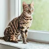 Liegematte für Fensterbank · hellgrau · XXL 90 x 28 cm · Produktbild-Vorschau 1