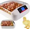 Kruger Meier ProEggora 56 Auto - inkubator z termostatem na Podgląd zdjęcia produktu 10