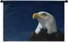 MuchoWow® Wandteppich Wandbehang Ein Weißkopfseeadler Produktbild-Vorschau 1