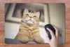 MuchoWow® Schreibtischunterlage Katze - Bank - Orange 60x40 Produktbild-Vorschau 3