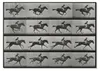 POSTER - 84x59 cm (A1) - Eadweard Muybridge - Produktbild-Vorschau 1
