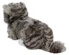 Kuscheltier Katze liegend grau getigert 25 cm Plüschkatze Produktbild-Vorschau 3