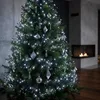 Catena luminosa a LED a ciuffo, bianco freddo - 22 metri / Anteprima dell’immagine prodotto 5