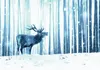 Vlies Fototapete - Winter animals - deer motif on a forest Produktbild-Vorschau 5