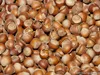 Haselnüsse ganz | in der Schale | 100g | Nüsse | Nusskerne Produktbild-Vorschau 2