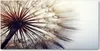 Tulup® Leinwandbild - 140x70 cm - Wandkunst - Drucke auf Produktbild-Vorschau 1
