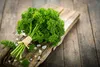 SAFLAX - BIO – kadeřavá petržel - Petroselinum crispum - Náhled obrázku produktu 6