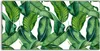 Coloray Spritzschutz aus Glas 120x60  Wandkunst Produktbild-Vorschau 1