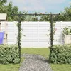 vidaXL Arco da giardino 200 x 52 x 204 cm Anteprima dell’immagine prodotto 2