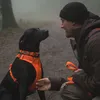 Ruffwear Front Range™ Hundegeschirr Produktbild-Vorschau 9