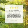 MuchoWow® - Leinwandbilder - Sonne - Wald - Bäume - Natur - Produktbild-Vorschau 8