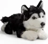 A plush toy husky dog lying down on a white background. Náhled obrázku produktu