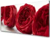 Acrylglasbilder 100x50 Wandbild Druck Rosen Pflanzen Produktbild-Vorschau 1