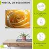 ARTland Poster Gelbe Rose Makro Größe: 40x30 cm Produktbild-Vorschau 2