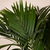 Zimmerpflanze Kentia Howea, 180 cm hoch, Topf Ø 27 cm, Produktbild-Vorschau 5