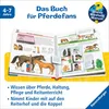 Alles über Pferde und Ponys Productafbeelding-voorbeeld 3