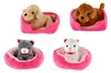 Pet in the bed peluche 4 colori 22x24cm 24m+ Anteprima dell’immagine prodotto 1
