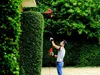 Black & Decker PH5551 Elektro-Heckenschere Produktbild-Vorschau 14