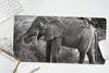 MuchoWow® Mauspad Mousepad Elefant - Tiere - Bäume - Produktbild-Vorschau 5