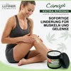 Luminer Masage Cream Extra Stark 500ml – Muskel & Gelenk Produktbild-Vorschau 4
