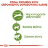 Royal Canin Outdoor 400 g Produktbild-Vorschau 6