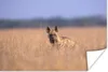 MuchoWow® Poster Hyäne - Gras - Asien 60x40 cm - Produktbild-Vorschau 1