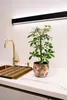 A plant in a decorative pot sits on a kitchen counter next to a gold faucet and sink. Voir les images du produit