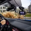 LAMAX C11 GPS 4K, kamera do auta 4K/30fps, GPS, WiFi 5 GHz, Náhľad obrázku produktu 11