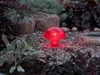 3er-Set LED Solarleuchten, Solarbeleuchtung für den Garten, Produktbild-Vorschau 5