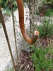 Edelrost Ampelhalter schlicht, 145 cm Produktbild-Vorschau 2