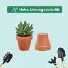 48 Stuks Mini Terracotta Potten für fettfreudige Pflanzen Produktbild-Vorschau 3