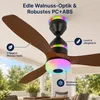 Wentylator sufitowy z oświetleniem, Ø 60 cm, 48 W, lampa Podgląd zdjęcia produktu 12