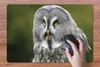 MuchoWow® Schreibtischunterlage Vogel - Eule - Grau 60x40 Produktbild-Vorschau 3