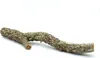 BioBranch Ramo di quercia da sughero di 60 cm, diritto o Anteprima dell’immagine prodotto 6