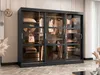 A modern wardrobe with sliding glass doors, showcasing organized clothing and accessories. Produktbild-Vorschau
